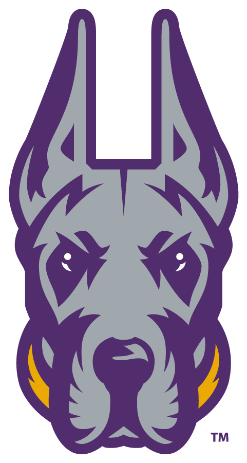 Albany Great Danes 2020-Pres Alternate Logo v7 diy DTF decal sticker